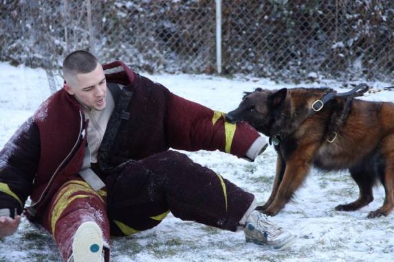 Kylie blog bite Christian