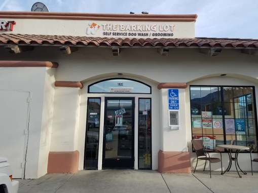barking lot1
