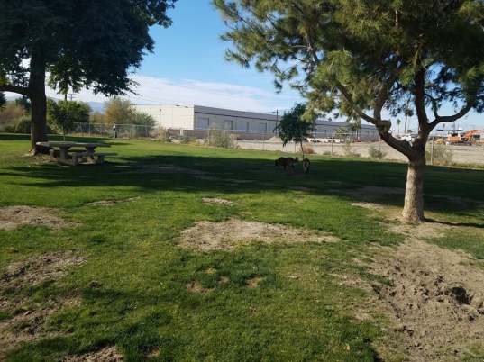 Mulligan Dog Park7 - Copy