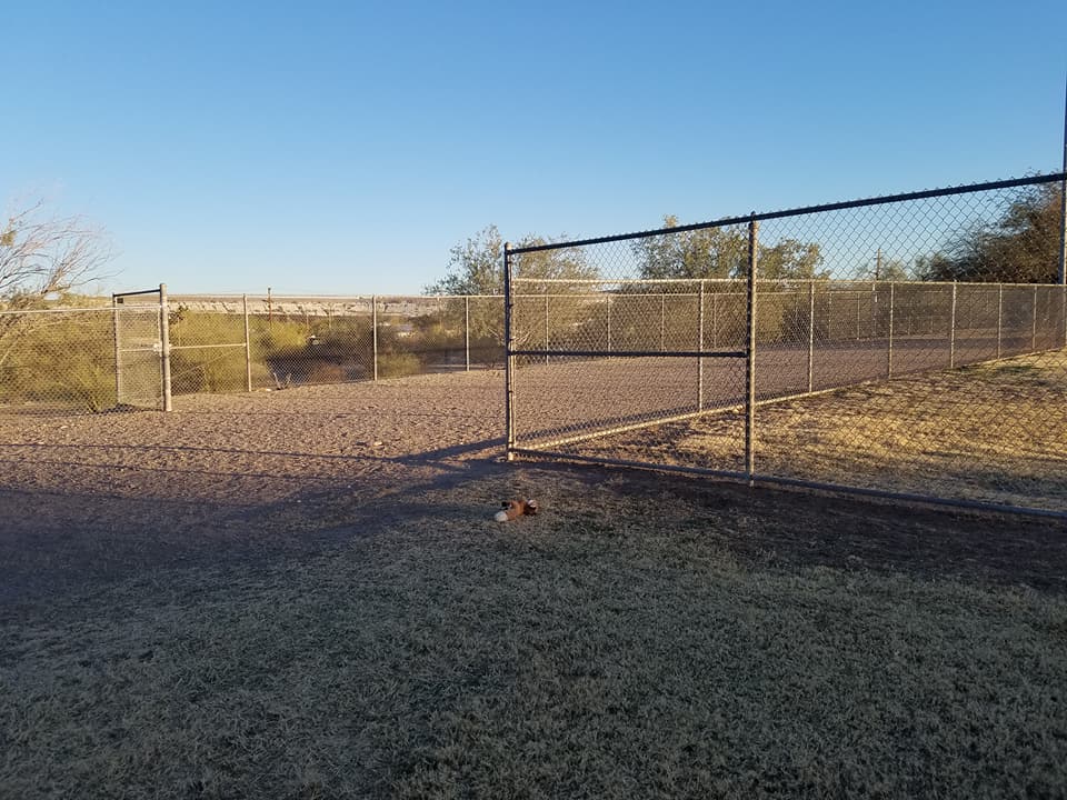 ajo dog park 1