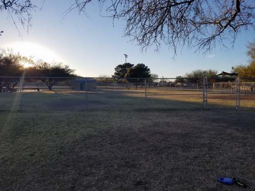 ajo dog park 2