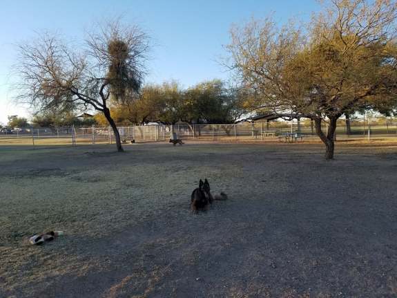 ajo dog park