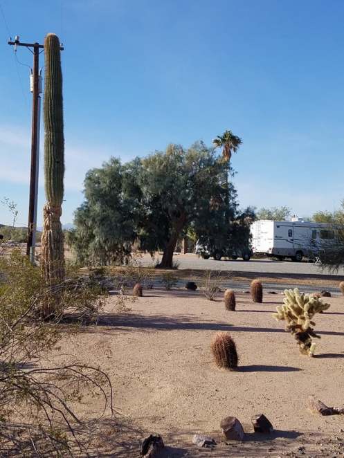 dateland RV park17