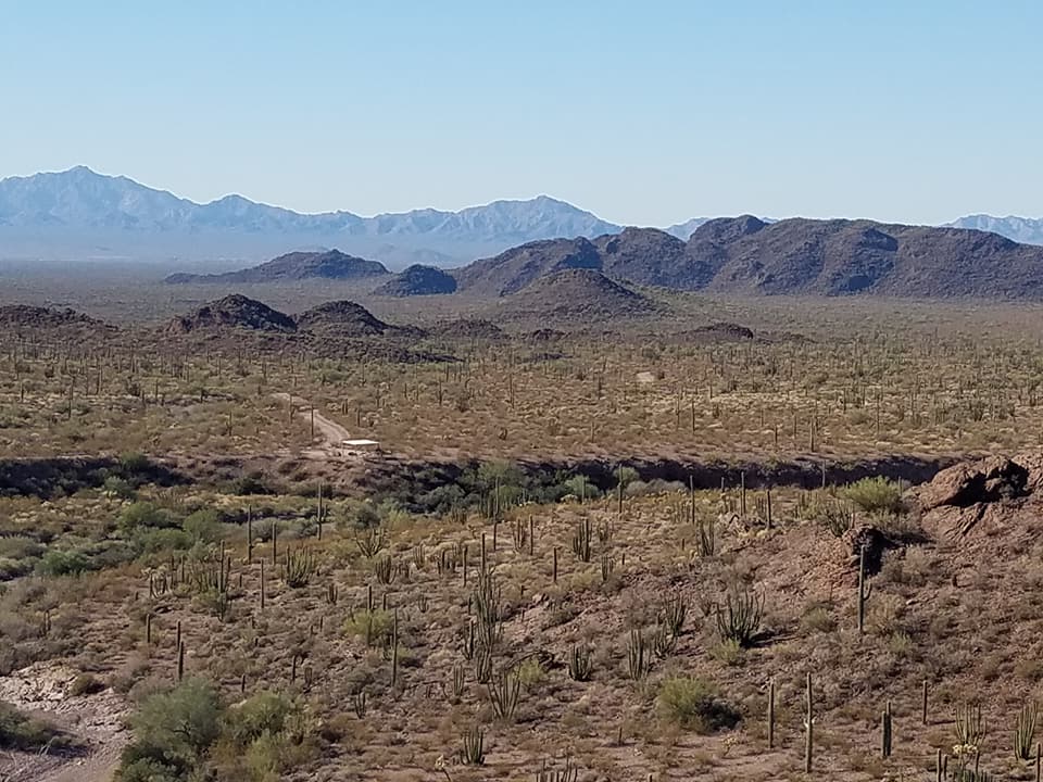 favorite organ pipe pics 12
