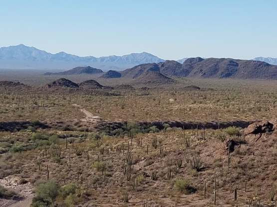 favorite organ pipe pics 12