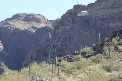 favorite organ pipe pics 5