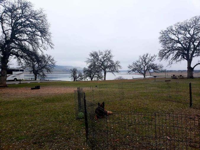 Black Butte COE OR 1