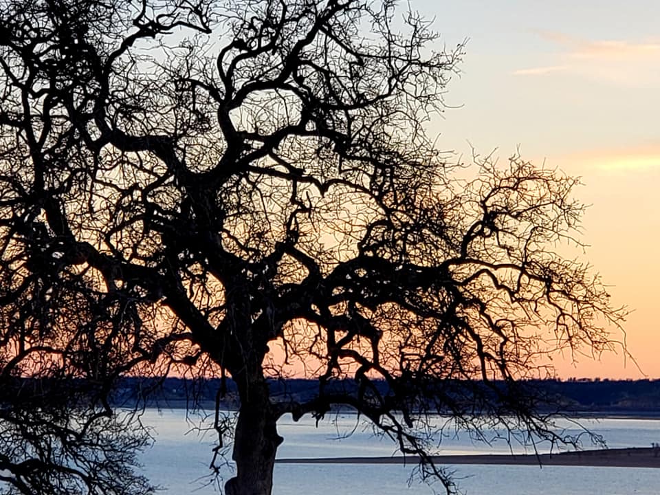 Black Butte COE OR 3