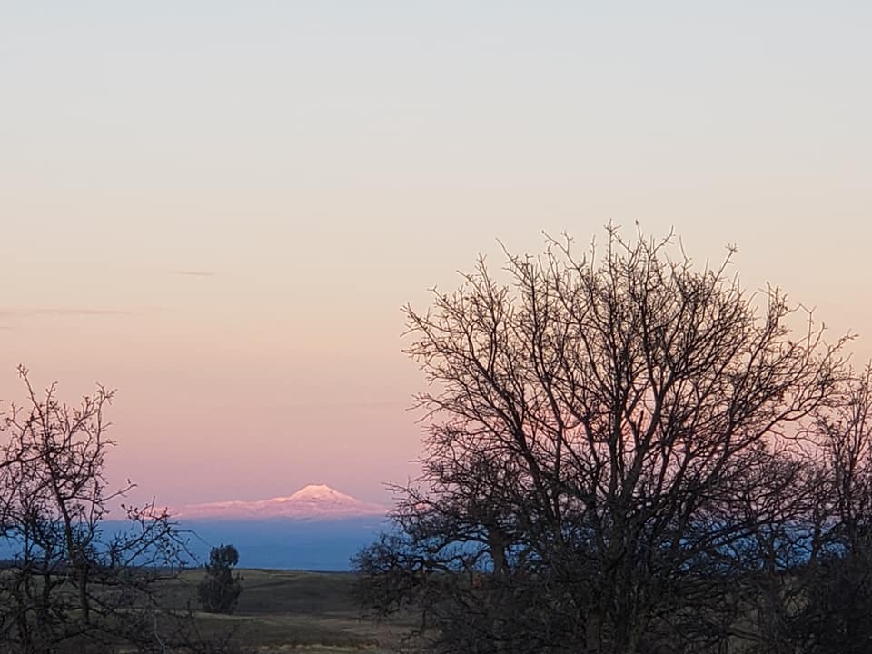 Black Butte COE OR 4