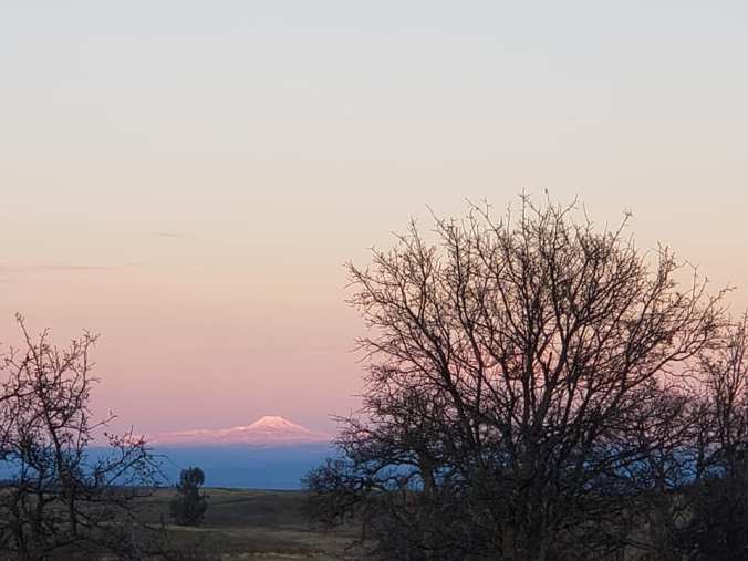 Black Butte COE OR 4