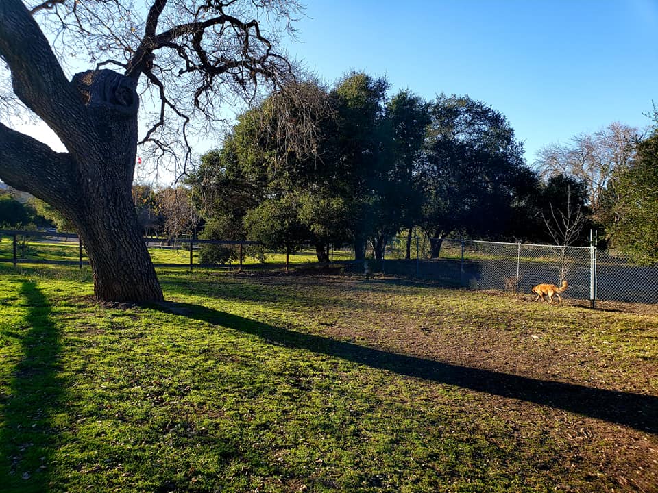 lake cachuma dog park 1