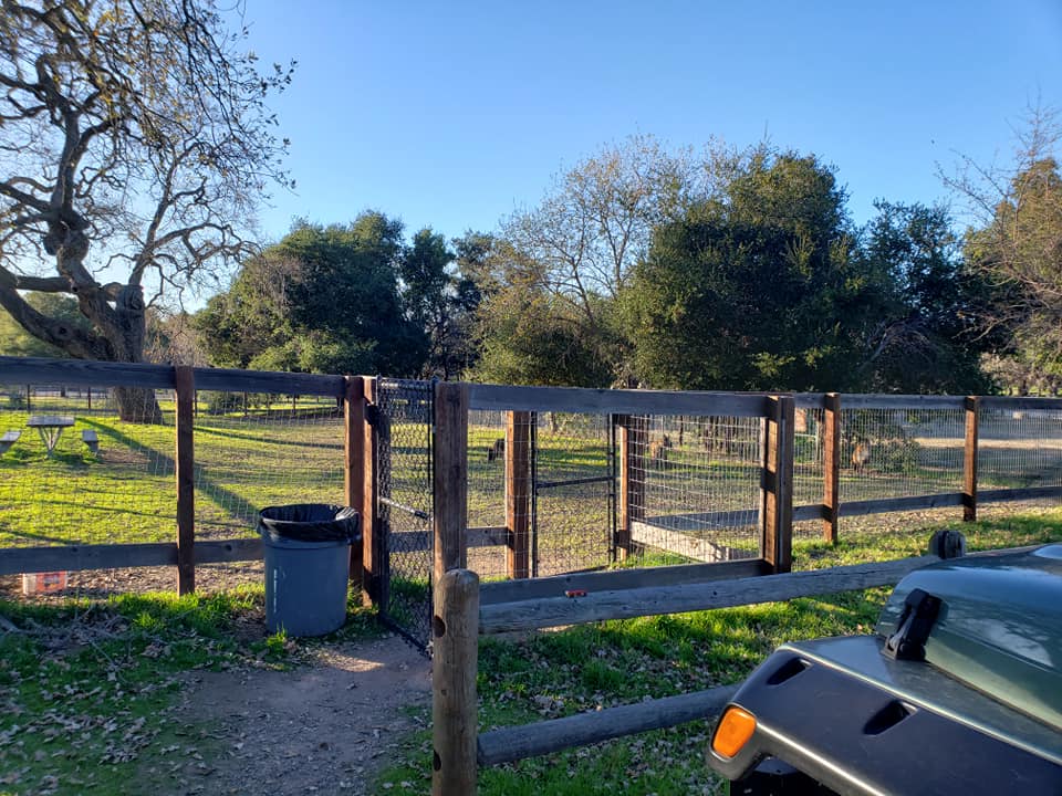 lake cachuma dog park 2